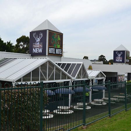 The Oaks Hotel Motel Albion Park Exteriér fotografie